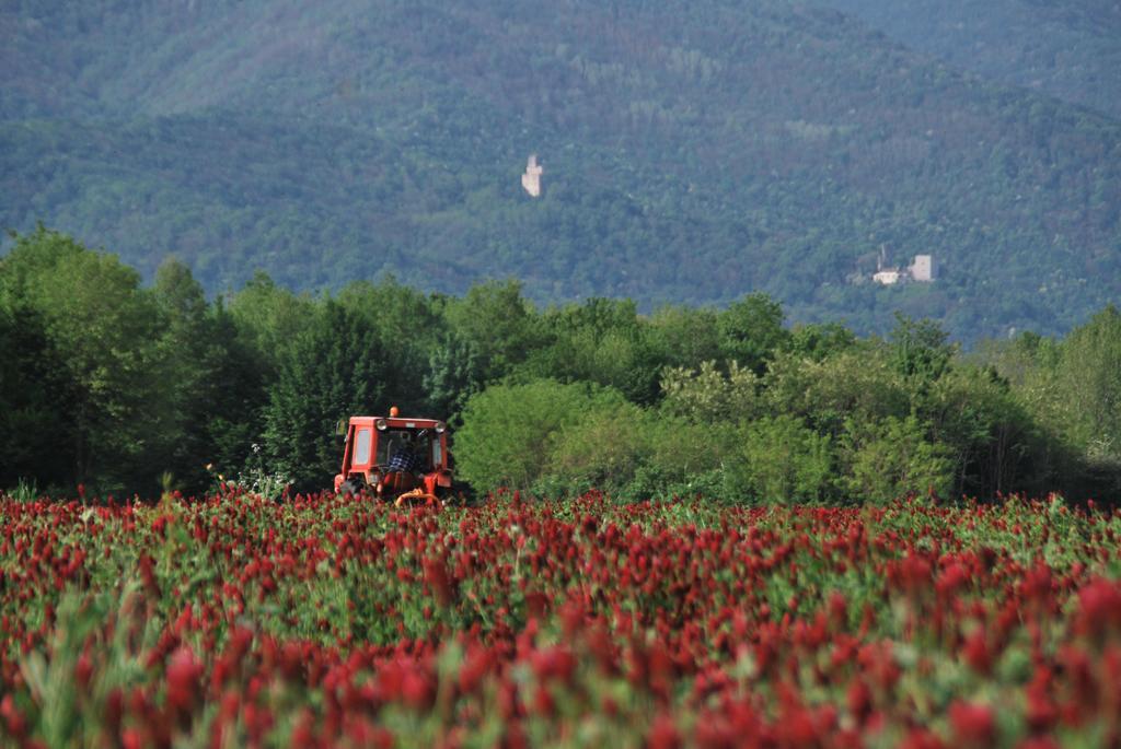 Affittacamere Valnascosta Faedis Dış mekan fotoğraf